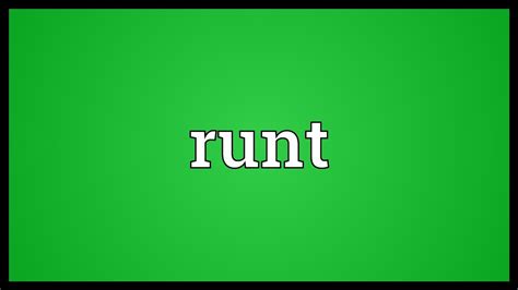 runt meaning